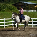 Reitkurs mit Desmond OBrien - September 2013