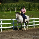 Reitkurs mit Desmond OBrien - September 2013