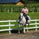 Reitkurs mit Desmond OBrien - September 2013