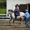 Reitkurs mit Desmond OBrien - September 2013