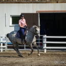 Reitkurs mit Desmond OBrien - September 2013