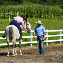 Reitkurs mit Desmond OBrien - September 2013