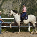 Reitkurs mit Desmond OBrien - September 2013