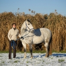 Maestoso Alea - Dezember 2013