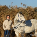 Maestoso Alea - Dezember 2013
