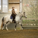 Barockes Reiten mit Richard Hinrichs 03-2014 - Lipizzaner Maestoso Alea