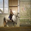 Barockes Reiten mit Richard Hinrichs 03-2014 - Lipizzaner Maestoso Alea