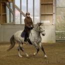Barockes Reiten mit Richard Hinrichs 03-2014 - Lipizzaner Maestoso Alea