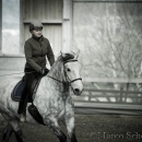 Barockes Reiten mit Richard Hinrichs 03-2014 - Lipizzaner Maestoso Alea