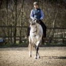 Barockes Reiten mit Richard Hinrichs 03-2014 - Lipizzaner Maestoso Alea