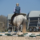 Barockes Reiten mit Richard Hinrichs 03-2014 - Lipizzaner Maestoso Alea