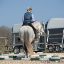 Barockes Reiten mit Richard Hinrichs 03-2014 - Lipizzaner Maestoso Alea