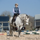 Barockes Reiten mit Richard Hinrichs 03-2014 - Lipizzaner Maestoso Alea