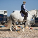 Barockes Reiten mit Richard Hinrichs 03-2014 - Lipizzaner Maestoso Alea