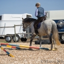 Barockes Reiten mit Richard Hinrichs 03-2014 - Lipizzaner Maestoso Alea