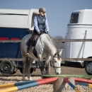 Barockes Reiten mit Richard Hinrichs 03-2014 - Lipizzaner Maestoso Alea