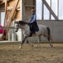 Barockes Reiten mit Richard Hinrichs 03-2014 - Lipizzaner Maestoso Alea