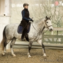 Barockes Reiten mit Richard Hinrichs 03-2014 - Lipizzaner Maestoso Alea