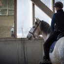 Barockes Reiten mit Richard Hinrichs 03-2014 - Lipizzaner Maestoso Alea