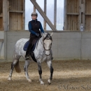 Barockes Reiten mit Richard Hinrichs 03-2014 - Lipizzaner Maestoso Alea