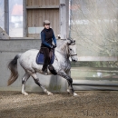 Barockes Reiten mit Richard Hinrichs 03-2014 - Lipizzaner Maestoso Alea