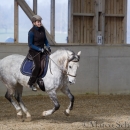 Barockes Reiten mit Richard Hinrichs 03-2014 - Lipizzaner Maestoso Alea