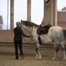 Barockes Reiten mit Richard Hinrichs 22-03-2014 - Lipizzaner Maestoso Alea