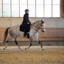 Barockes Reiten mit Richard Hinrichs 22-03-2014 - Lipizzaner Maestoso Alea