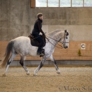 Barockes Reiten mit Richard Hinrichs 22-03-2014 - Lipizzaner Maestoso Alea