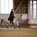 Barockes Reiten mit Richard Hinrichs 22-03-2014 - Lipizzaner Maestoso Alea