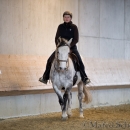Barockes Reiten mit Richard Hinrichs 22-03-2014 - Lipizzaner Maestoso Alea