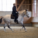 Barockes Reiten mit Richard Hinrichs 22-03-2014 - Lipizzaner Maestoso Alea