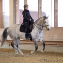 Barockes Reiten mit Richard Hinrichs 22-03-2014 - Lipizzaner Maestoso Alea