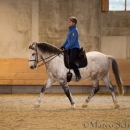 Barockes Reiten mit Richard Hinrichs 22-03-2014 - Lipizzaner Maestoso Alea
