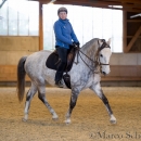 Barockes Reiten mit Richard Hinrichs 22-03-2014 - Lipizzaner Maestoso Alea