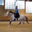Barockes Reiten mit Richard Hinrichs 22-03-2014 - Lipizzaner Maestoso Alea