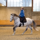 Barockes Reiten mit Richard Hinrichs 22-03-2014 - Lipizzaner Maestoso Alea
