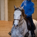 Barockes Reiten mit Richard Hinrichs 22-03-2014 - Lipizzaner Maestoso Alea