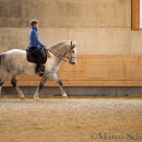 Barockes Reiten mit Richard Hinrichs 22-03-2014 - Lipizzaner Maestoso Alea