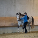 Barockes Reiten mit Richard Hinrichs 23-03-2014 - Lipizzaner Maestoso Alea