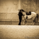 Barockes Reiten mit Richard Hinrichs 23-03-2014 - Lipizzaner Maestoso Alea
