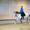 Barockes Reiten mit Richard Hinrichs 23-03-2014 - Lipizzaner Maestoso Alea
