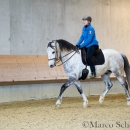 Barockes Reiten mit Richard Hinrichs 23-03-2014 - Lipizzaner Maestoso Alea