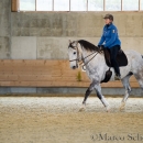 Barockes Reiten mit Richard Hinrichs 23-03-2014 - Lipizzaner Maestoso Alea