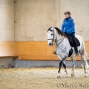 Barockes Reiten mit Richard Hinrichs 23-03-2014 - Lipizzaner Maestoso Alea