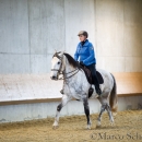 Barockes Reiten mit Richard Hinrichs 23-03-2014 - Lipizzaner Maestoso Alea