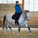 Barockes Reiten mit Richard Hinrichs 23-03-2014 - Lipizzaner Maestoso Alea