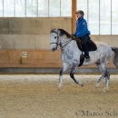 Barockes Reiten mit Richard Hinrichs 23-03-2014 - Lipizzaner Maestoso Alea
