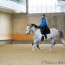 Barockes Reiten mit Richard Hinrichs 23-03-2014 - Lipizzaner Maestoso Alea