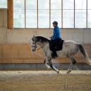 Barockes Reiten mit Richard Hinrichs 23-03-2014 - Lipizzaner Maestoso Alea